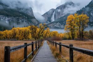 Scenic Boardwalk Through Autumn Foliage in Yosemite National Park Under Cloudy Sky photo