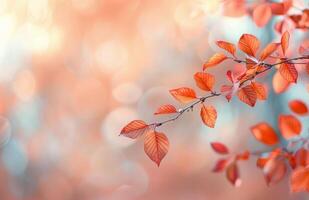 Autumn Leaves Glimmering With Bokeh Lights in a Serene Setting photo