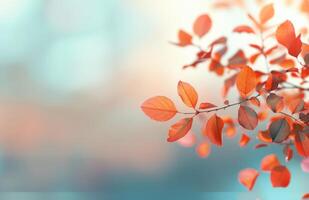Autumn Leaves Glimmering With Bokeh Lights in a Serene Setting photo
