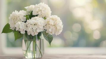 White Hydrangeas in a Clear Vase on a Soft Blue Surface With Natural Light photo