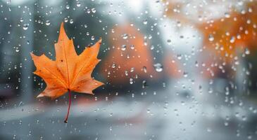 Autumn Leaf Clinging to Rainy Window in Urban Setting on a Gloomy Day photo