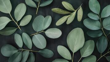 Variety of Green Leaves Laid on Dark Surface for Natural Aesthetic Display photo