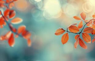 Autumn Leaves Glimmering With Bokeh Lights in a Serene Setting photo
