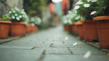 Charming Cobblestone Alleyway Lined With Flower Pots in a Quaint Village During Spring photo