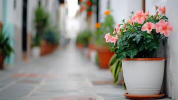 Charming Cobblestone Alleyway Lined With Flower Pots in a Quaint Village During Spring photo