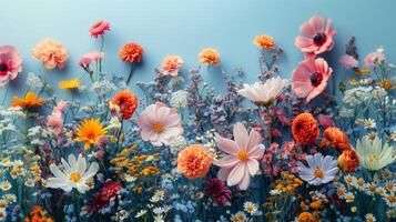 Row of Colorful Flowers on Blue Background photo