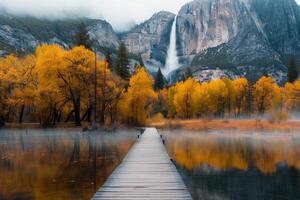 Scenic Boardwalk Through Autumn Foliage in Yosemite National Park Under Cloudy Sky photo