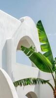 White Building With Bird Flying By photo