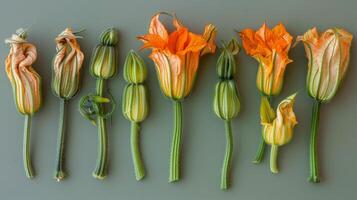 Group of Flowers on Table photo