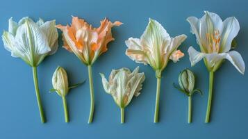 Group of Flowers on Blue Surface photo