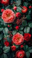 A Bunch of Red Roses With Green Leaves photo