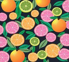 Colourful Fruity Background vector