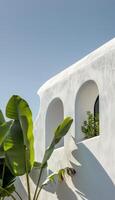 White Building With Bird Flying By photo