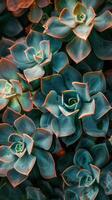 Cluster of Flowers Adorning a Wall photo