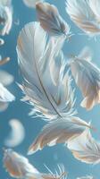 Group of White Feathers Floating on Water photo