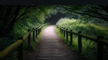 Serene Forest Pathway Surrounded by Lush Greenery in Early Evening Light photo
