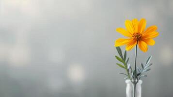 Bright Yellow Flowers in a Clear Vase Against a Green Background photo