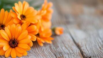 Vibrant Orange Flowers in Rustic Pot on Wooden Table Outdoors photo