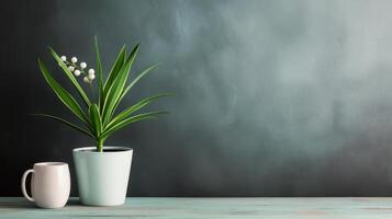 Potted Green Plant Against Textured Gray Wall in Modern Interior Setting photo