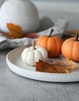 Autumn Pumpkins and Maple Leaves on Neutral Plate Decor photo