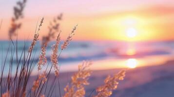 Sunset Over Ocean Shore With Silhouetted Grasses Near Waterline photo