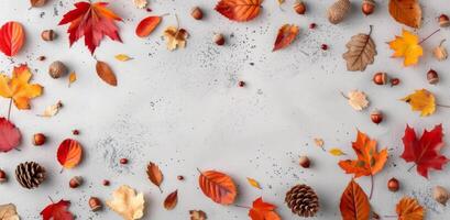 Colorful Autumn Leaves and Acorns on White Background in Natural Arrangement photo