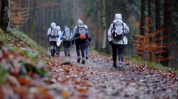 Hiking Trail Through Lush Forest in Morning Fog With Adventurers photo