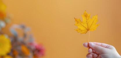 Hand Holding Yellow Maple Leaf Against Blue and Orange Background photo