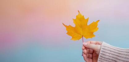Hand Holding Yellow Maple Leaf Against Blue and Orange Background photo