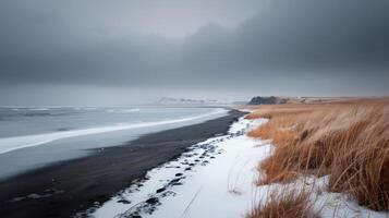 Winter Landscape of Black Sand Beach and Snow-Covered Cliffs in Iceland photo