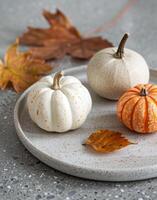 Autumn Decor Featuring White and Orange Pumpkins With Dried Leaves on a Rustic Plate photo