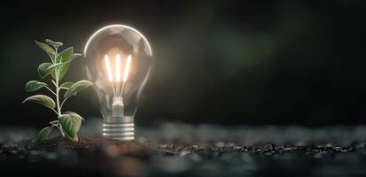 Light Bulb Containing Green Plant Growing in Soil on Dark Surface photo