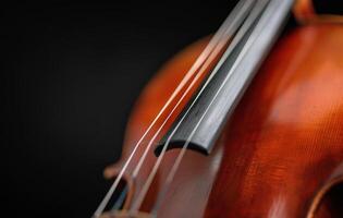 Close-Up of Violin Strings Against a Dark Background photo