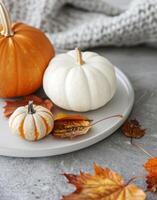 Autumn Decor Featuring White and Orange Pumpkins With Dried Leaves on a Rustic Plate photo