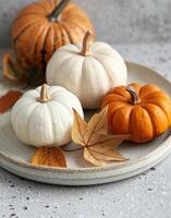 Autumn Decor Featuring White and Orange Pumpkins With Dried Leaves on a Rustic Plate photo
