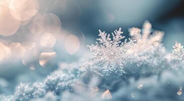 Delicate Snowflakes Adorn Frozen Branch in Winter Wonderland photo