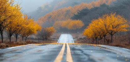 Golden Ginkgo Trees Line Wet Road in Autumn Mountains photo