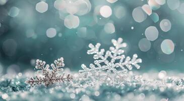 Delicate Snowflakes on Sparkling Surface During Winter Afternoon photo