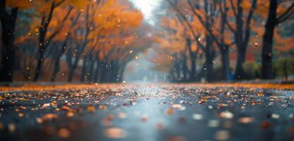 Autumn Leaves Falling on Wet Pathway in Serene Park During Rainy Afternoon photo