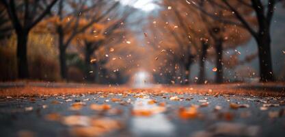 Autumn Leaves Falling on Wet Pathway in Serene Park During Rainy Afternoon photo