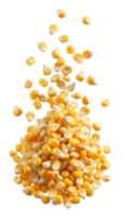 Pile of maize kernels with scattered grains above, transparent png
