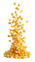 Falling yellow corn kernels, transparent png