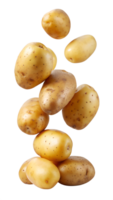 Group of floating potatoes with various shapes, isolated transparent png