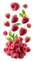 Raspberries with leaves floating in air, isolated transparent png