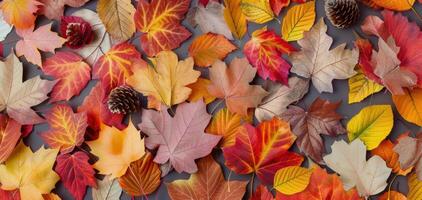 Colorful Autumn Leaves Piled on White Surface in Natural Light photo