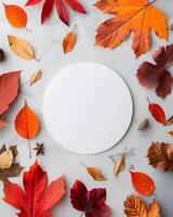 Fall Leaves Arranged Around A Round White Surface On A Gray Background photo