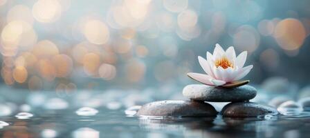 Tranquil Lotus Flower Blossom on Stacked Stones in Calming Water Setting photo