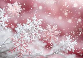 Delicate Frosted Snowflakes Against Soft Pink Background in Winter Glow photo
