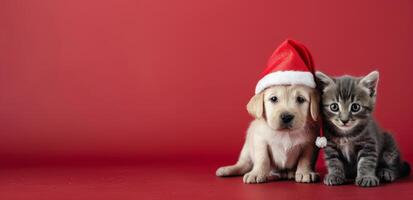 Puppy and Kitten Celebrating Christmas Together on Red Background photo