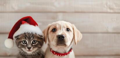 Kitten and Puppy Celebrating Christmas Together With Festive Accessories photo